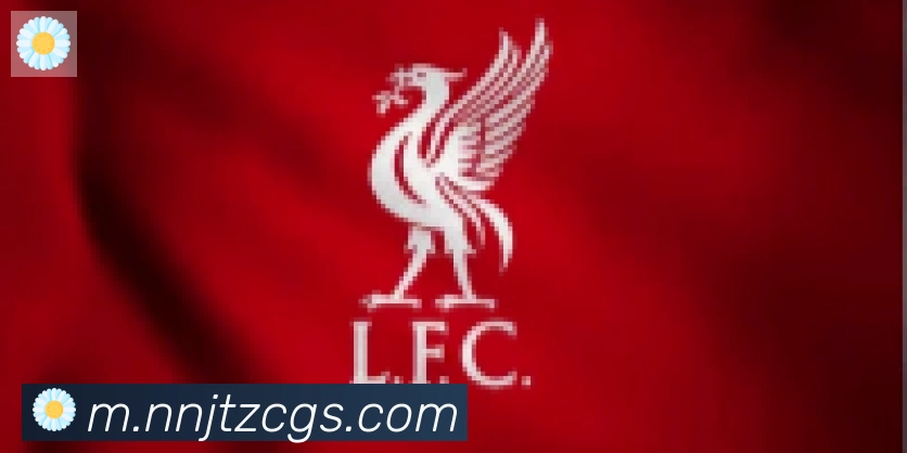 开云app合作伙伴